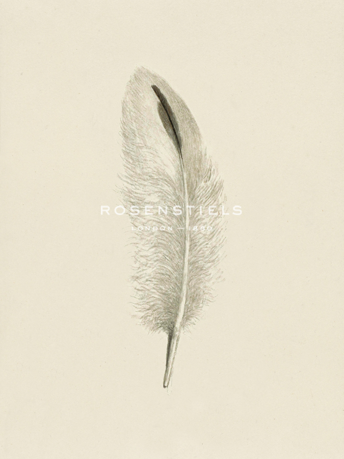 Plush Plume - The Vintage Collection