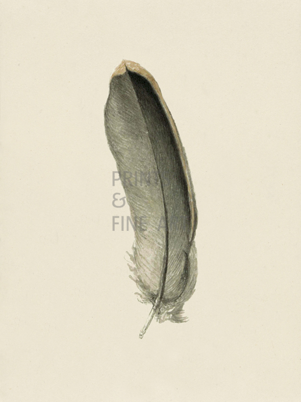 Floaty Feather - The Vintage Collection