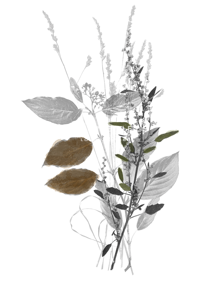 Wild Foliage - Simple - Collezione Botanica