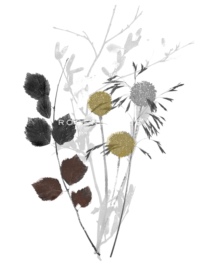 Wild Foliage - Homely - Collezione Botanica