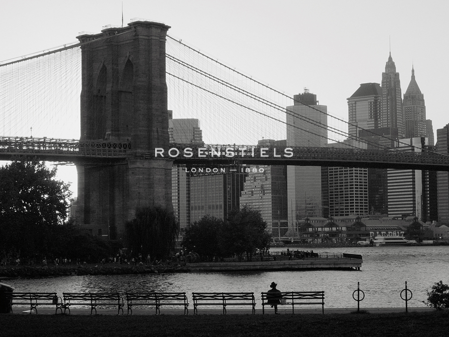 View of Brooklyn Bridge  - Jay Wesler