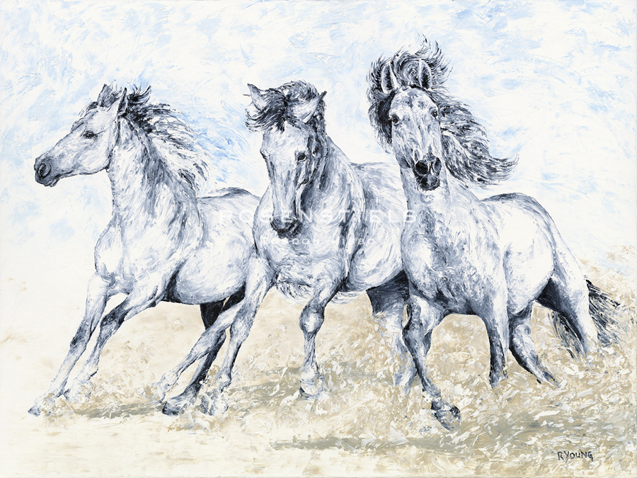 Arabian Folly - Richard Young