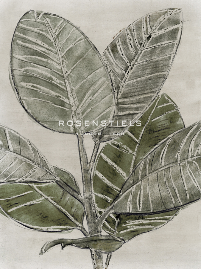 Plant Life - Grow - Belle Poesia