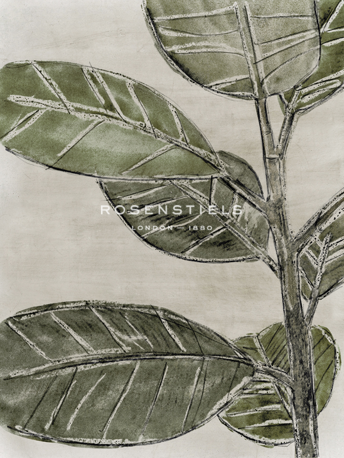 Plant Life - Flourish - Belle Poesia