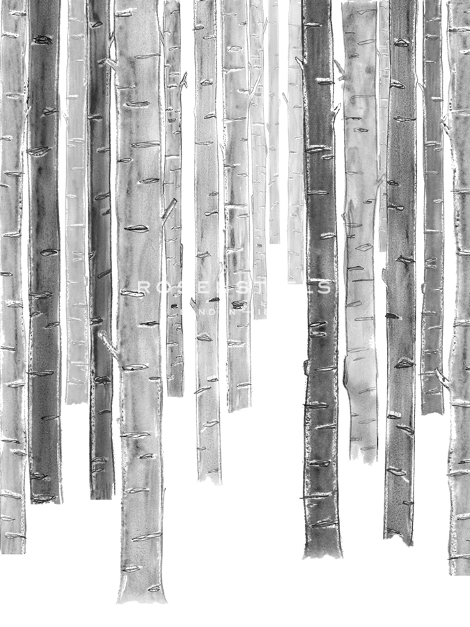 Forest Quietude - Still - Belle Poesia