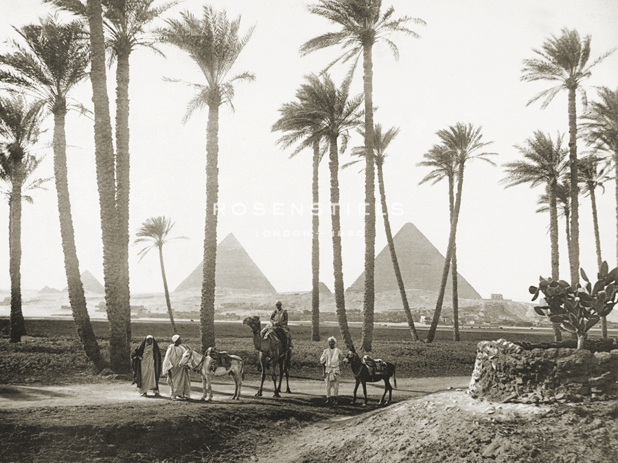 Pyramid Palms - Historic Collection