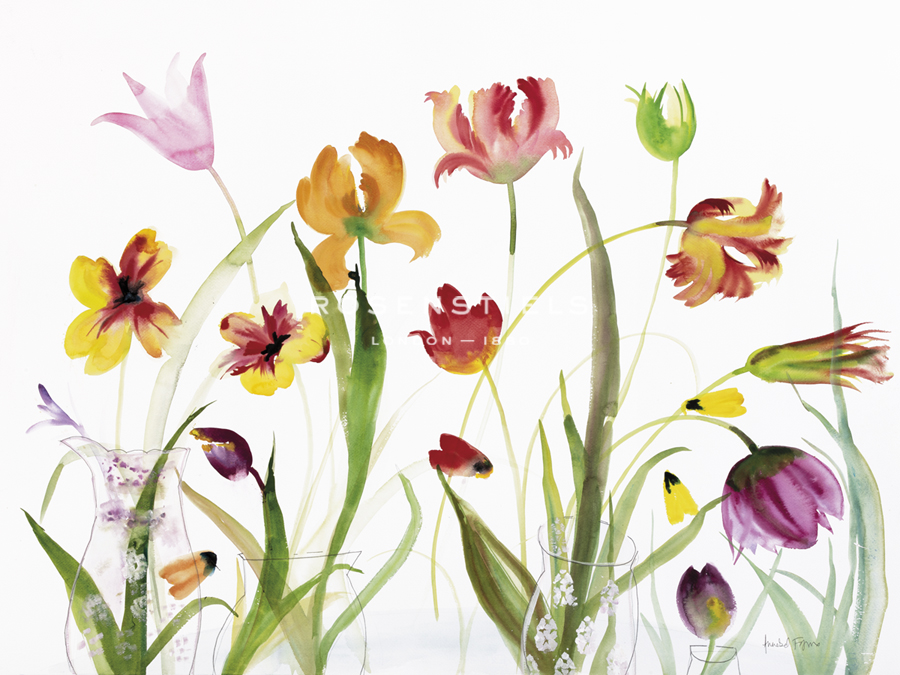 Bright Blooms - Sun - Annabel Fairfax