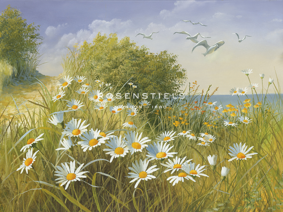 Where Seagulls Fly - Mary Dipnall
