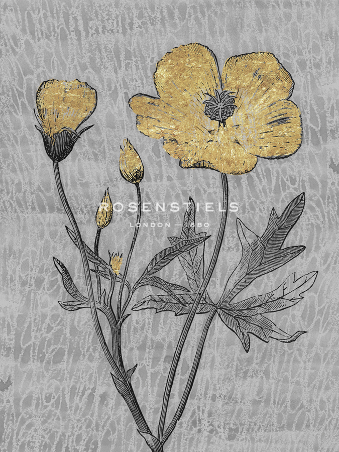 Luxe Garden - Radiance - Belle Poesia