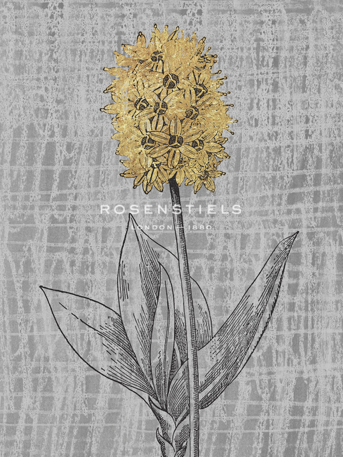 Luxe Garden - Elegance - Belle Poesia
