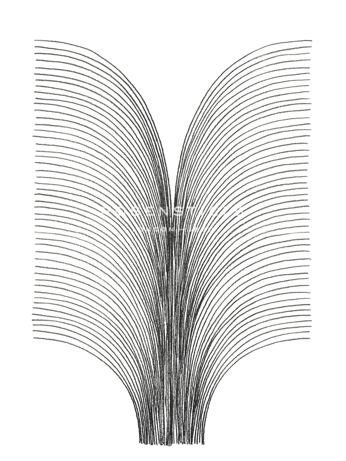 Linear Acoustic - Surge - Maja Gunnarsdottir