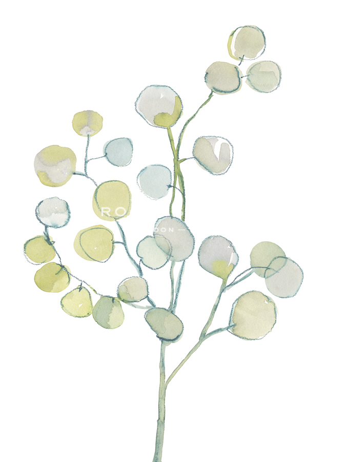 Foliage Spray - Bold - Sandra Jacobs