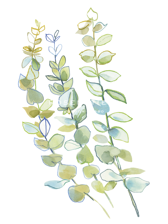 Foliage Spray - Flourish - Sandra Jacobs