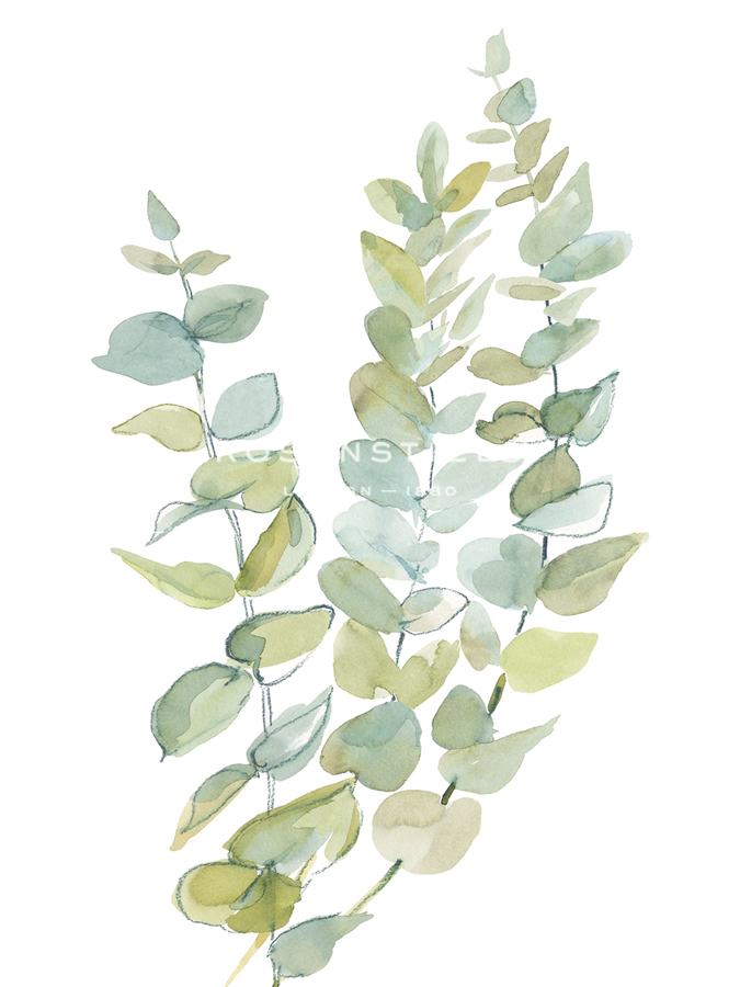 Foliage Spray - Climb - Sandra Jacobs