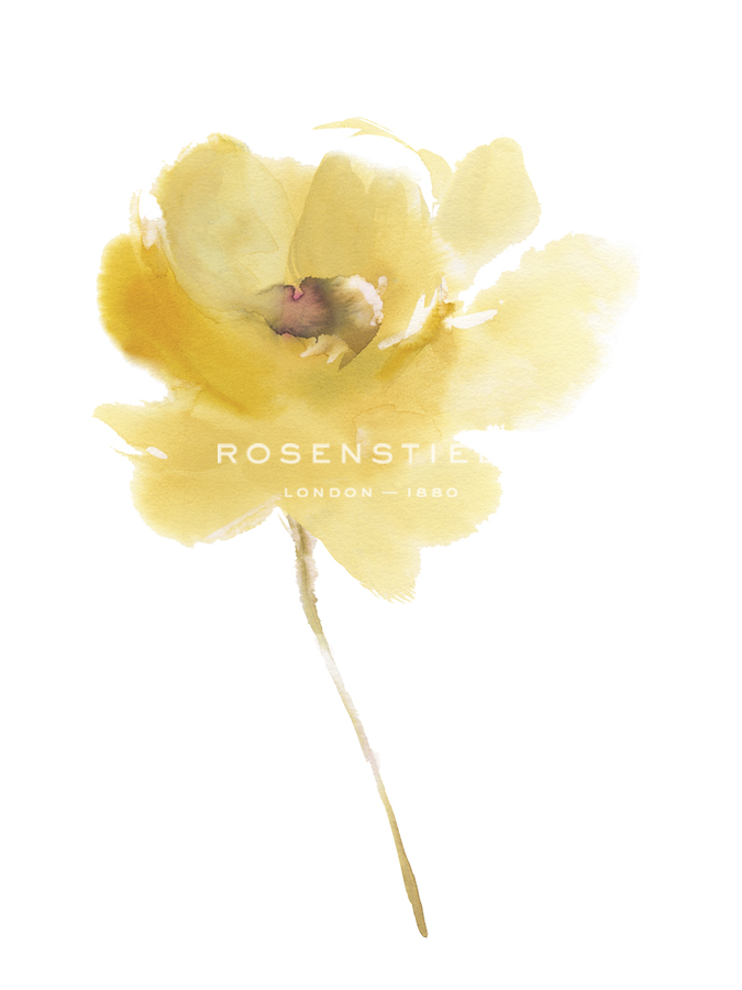 Aquarelle Blooms - Cheery - Sandra Jacobs