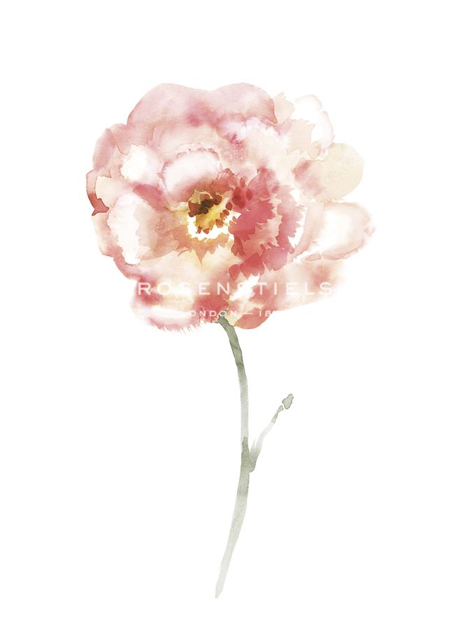 Aquarelle Blooms - Spring - Sandra Jacobs