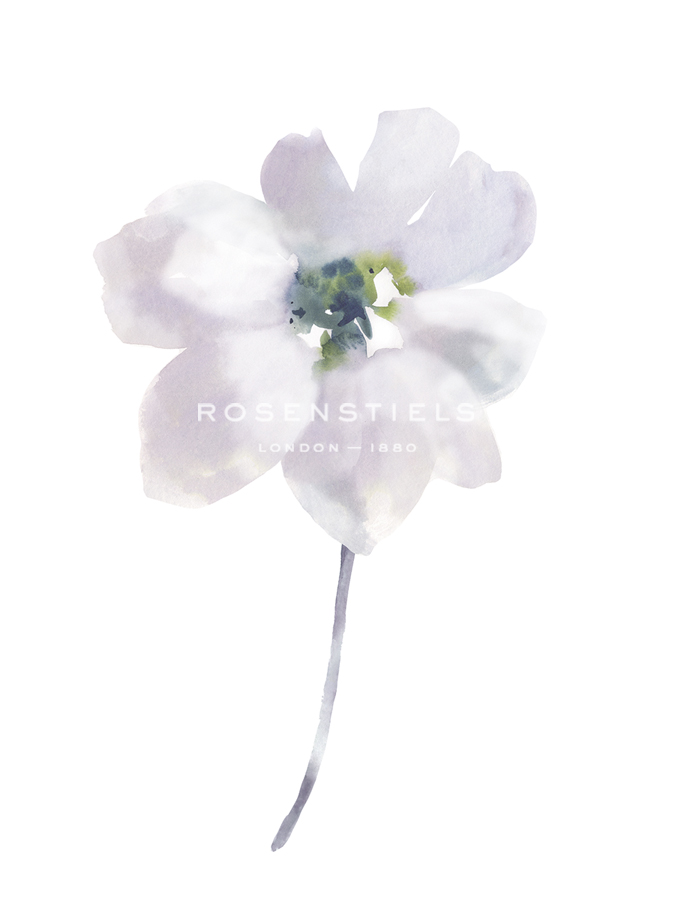 Aquarelle Blooms - Soft - Sandra Jacobs