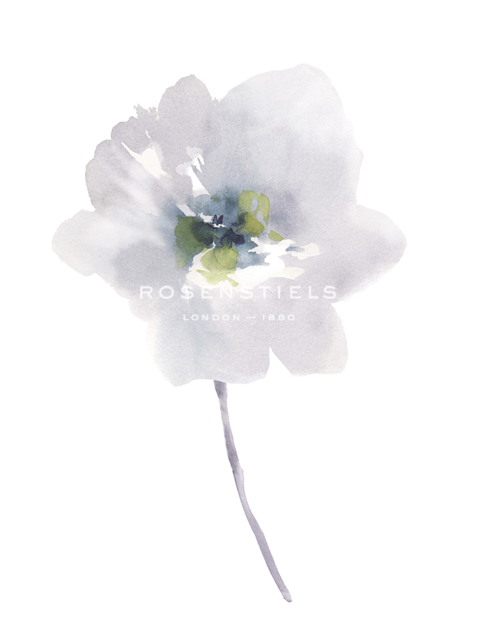 Aquarelle Blooms - Pastel - Sandra Jacobs