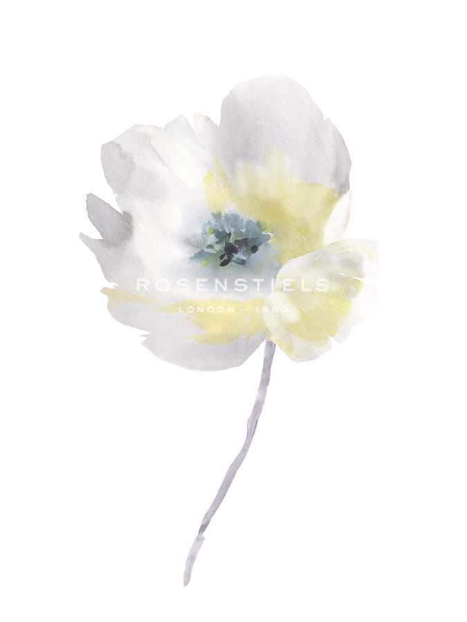 Aquarelle Blooms - Delicate - Sandra Jacobs