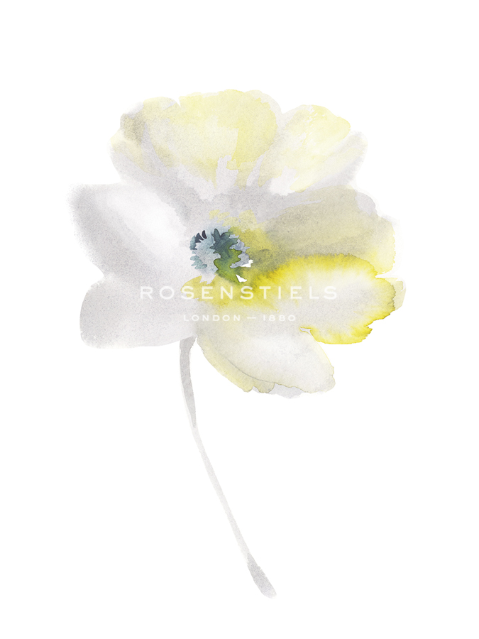 Aquarelle Blooms - Dainty  - Sandra Jacobs