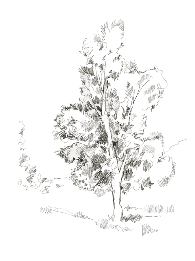 Sketchbook Tree - Shelter - Kristine Hegre