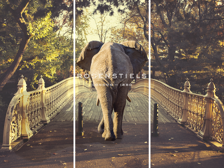 Afternoon Stroll - Trio - Irene Suchocki