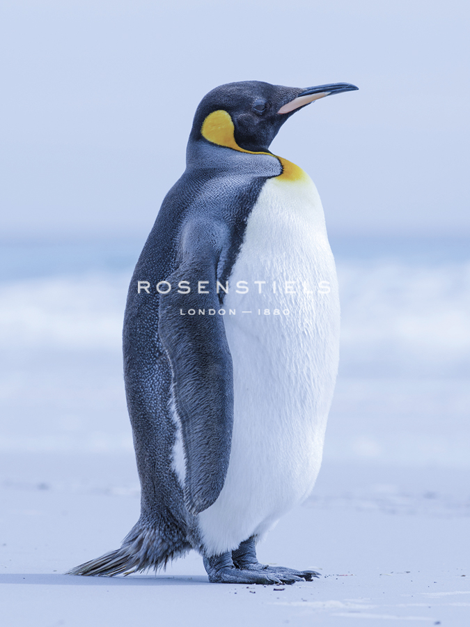 Grand Emperor - Martin Zwick