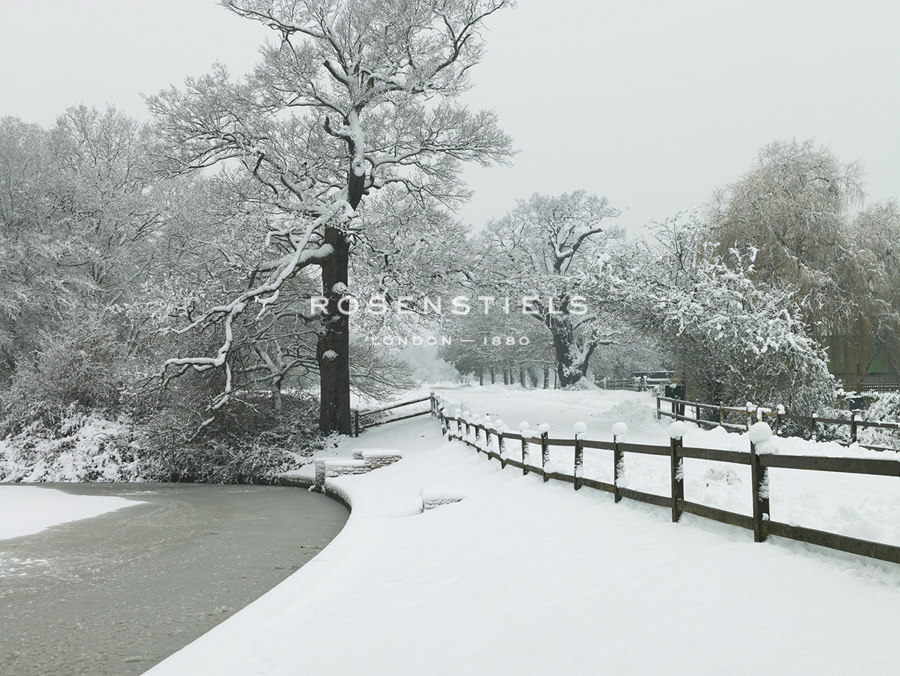 Winter's Path - Assaf Frank