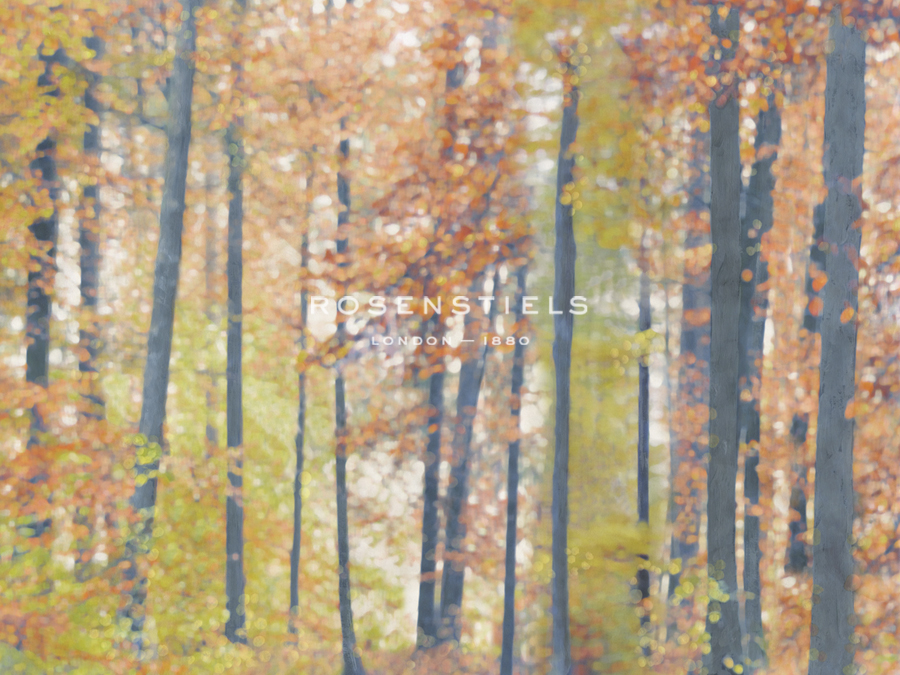 Fall Forest - Luminous - Midori Greyson