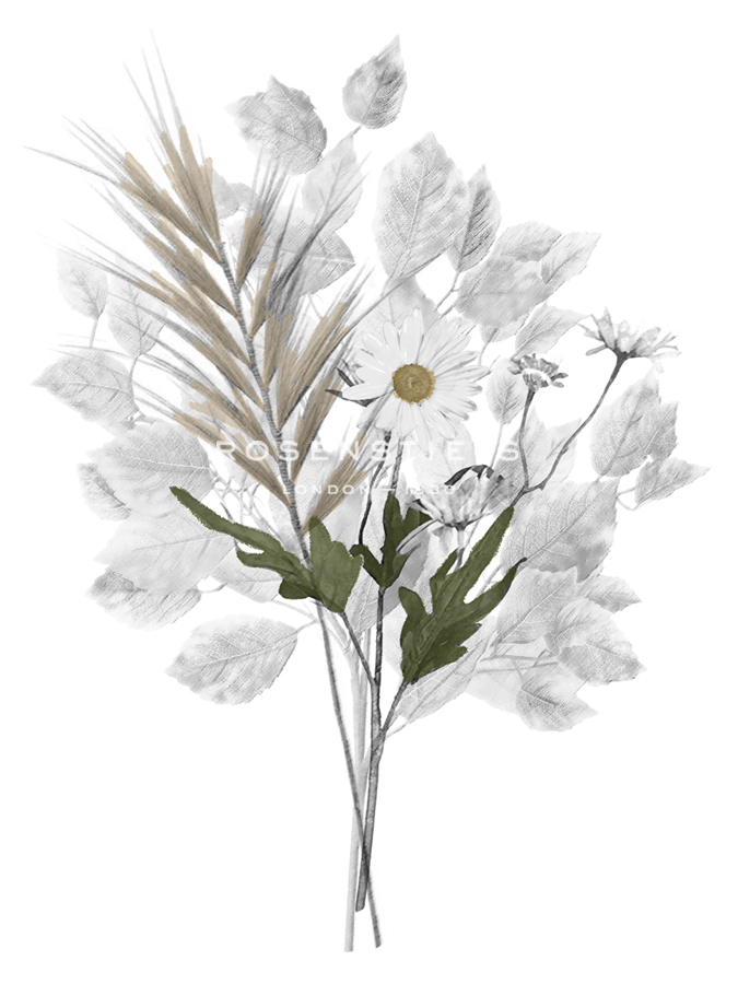 Forest Finds - Whimsical - Collezione Botanica