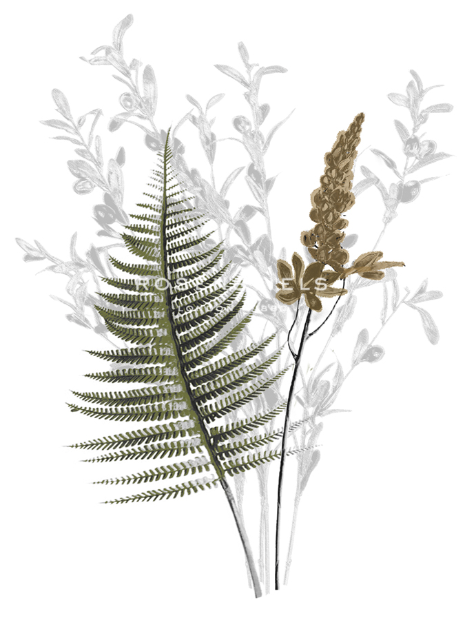 Forest Finds - Enchant - Collezione Botanica