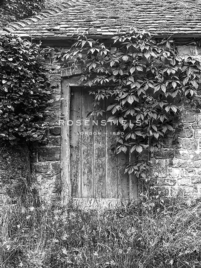 Entrance of Ivy - Assaf Frank