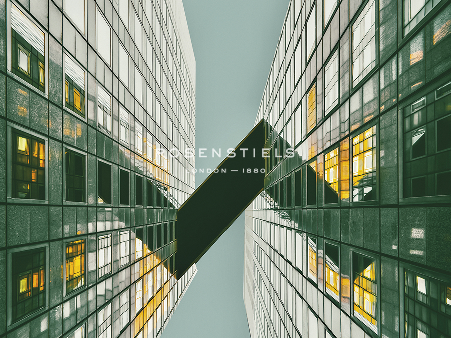 Urban Harmony - Ash Camas