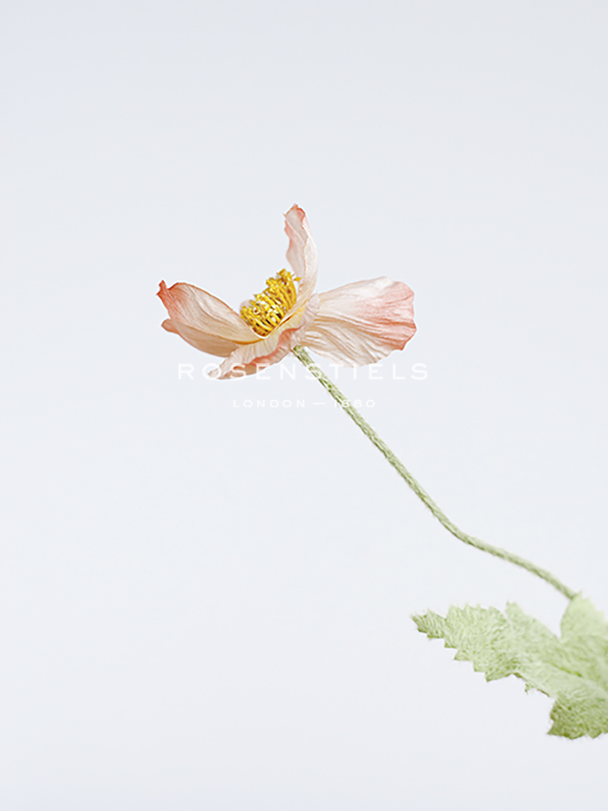 Single Flourish - Soar - Sarah Hart Morgan