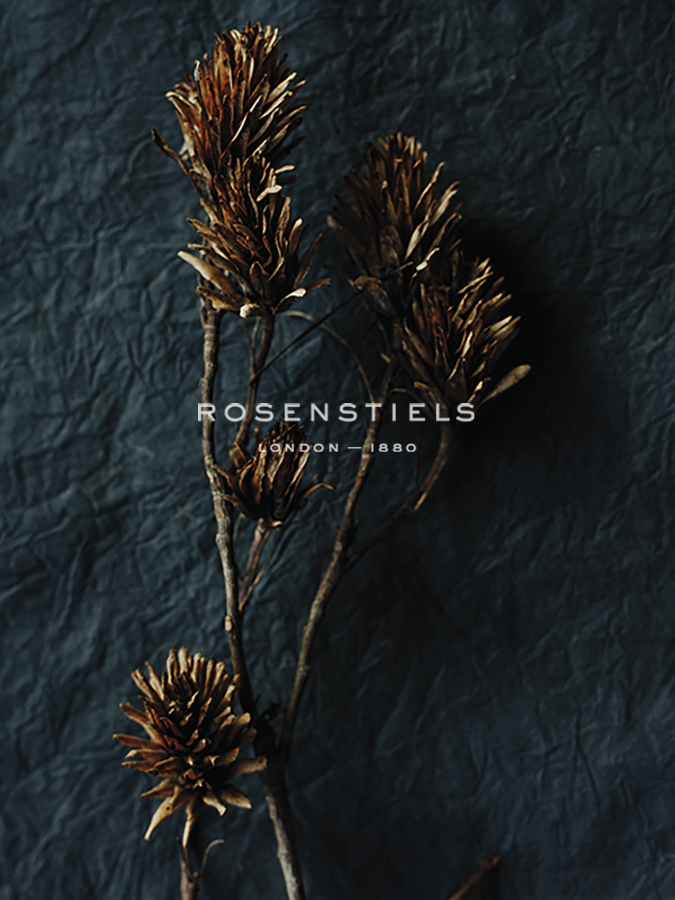Rustic Nature - Collect - Sarah Hart Morgan
