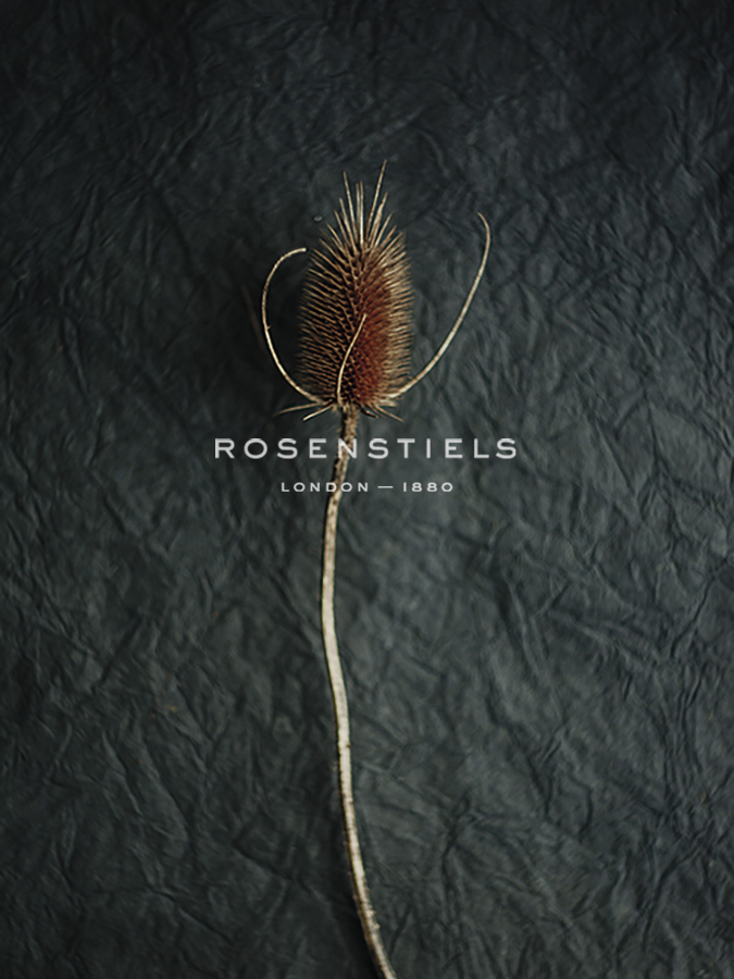Rustic Nature - Take - Sarah Hart Morgan