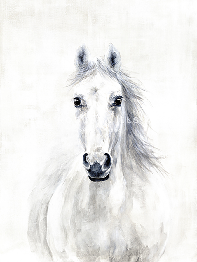 Equine Portrait - Janie Howe