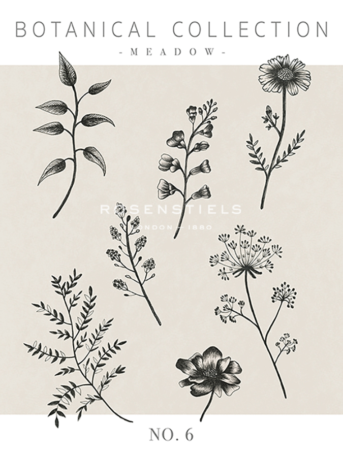 Botanical Collection - Meadow - Lucy Francis