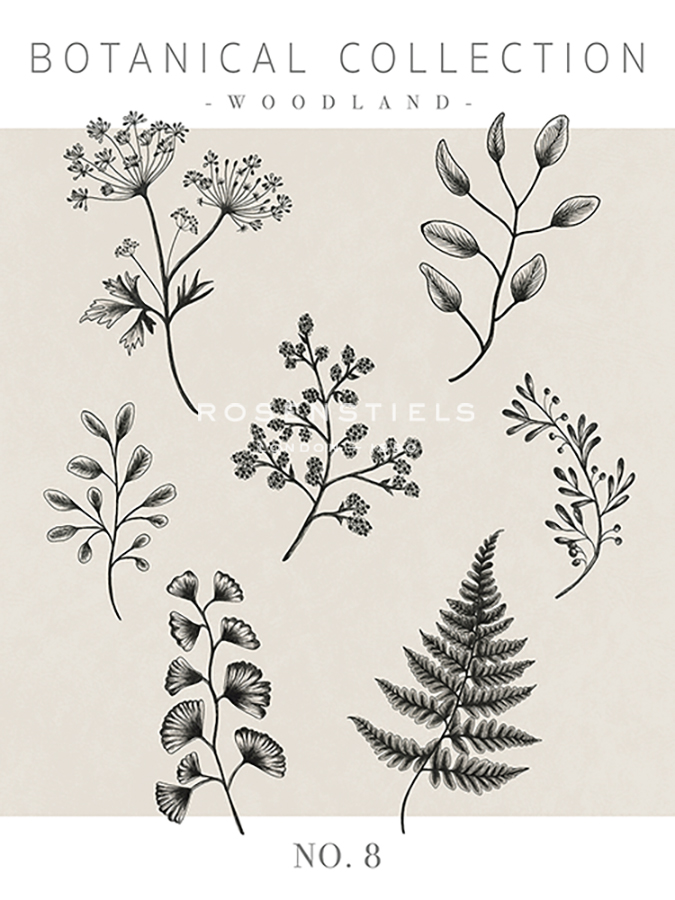 Botanical Collection - Woodland - Lucy Francis