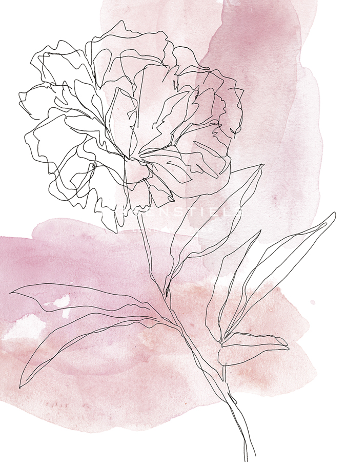 Aquarelle Bloom - Flower - Kristine Hegre