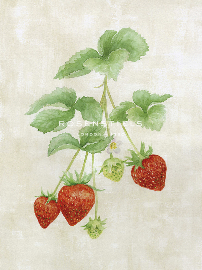Farmer's Market - Strawberry - Janie Howe