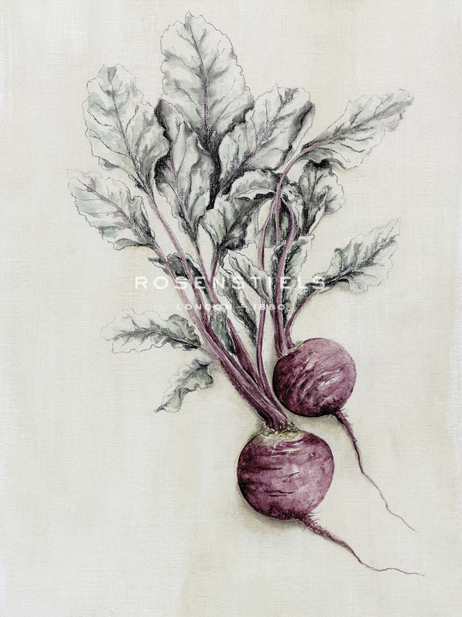 Rustic Table - Beetroot - Janie Howe