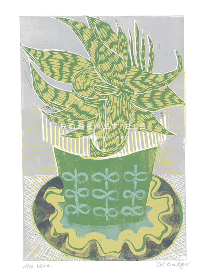 Aloe Vera - Zoe Badger