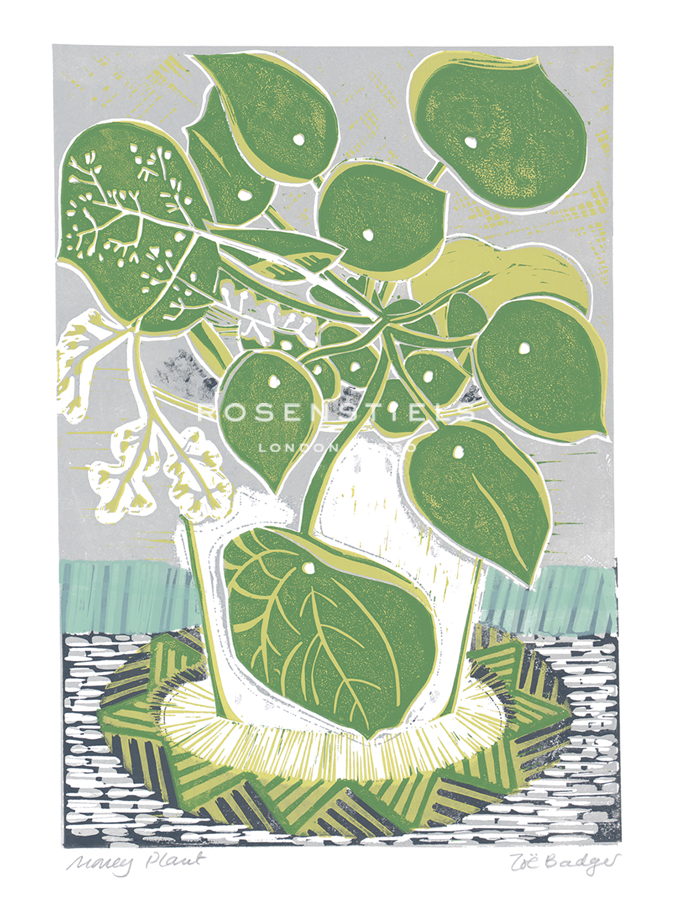 Money Plant - Zoe Badger