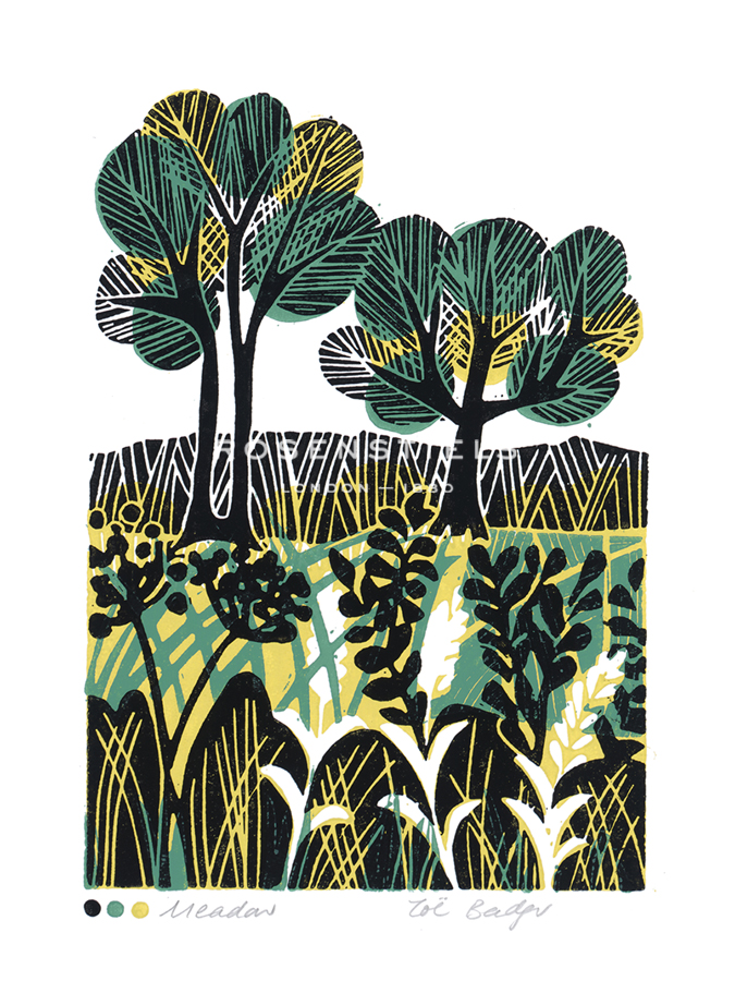 Meadow - Zoe Badger