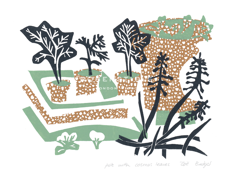 Pots with Cosmos Leaves - Zoe Badger