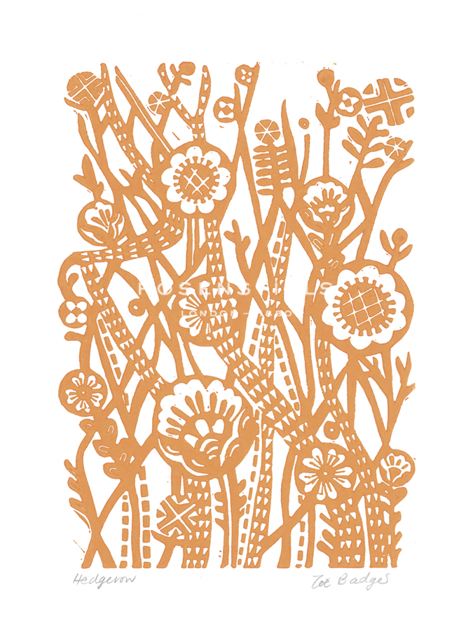 Hedgerow - Zoe Badger