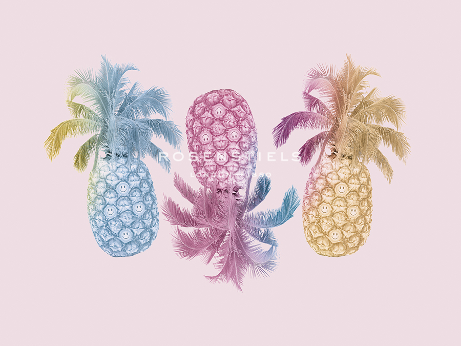 Pineapple Party - Justin Park