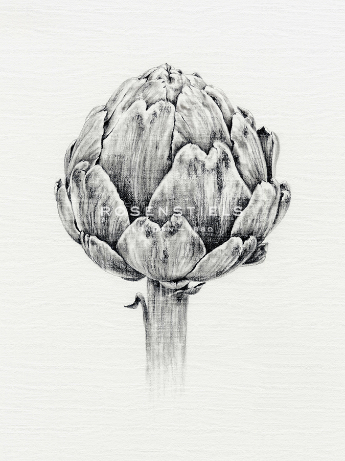 Vegetable Patch - Artichoke - Janie Howe