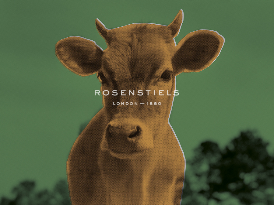 Pop Cattle - Sage - Eccentric Accents